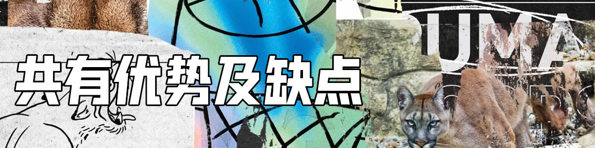 买好看又好穿的实战鞋,我居然会先想到Puma