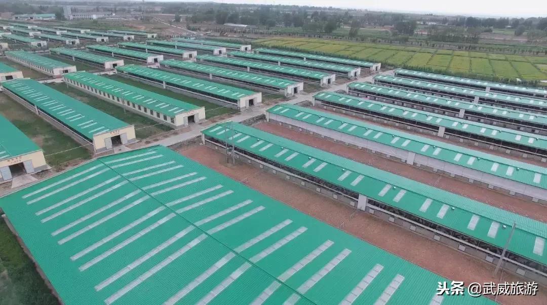 武威着力打造全域旅游,武威文化旅游综合体