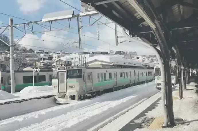 做了15年宠物服饰,这次我们做了个萌宠试衣间|它它李伟波