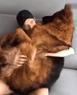 德国牧羊犬优点和缺点,德国牧羊犬的优点和缺点大揭秘