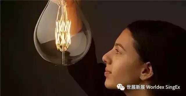 印尼led照明市场分析,印度最大的灯批发市场