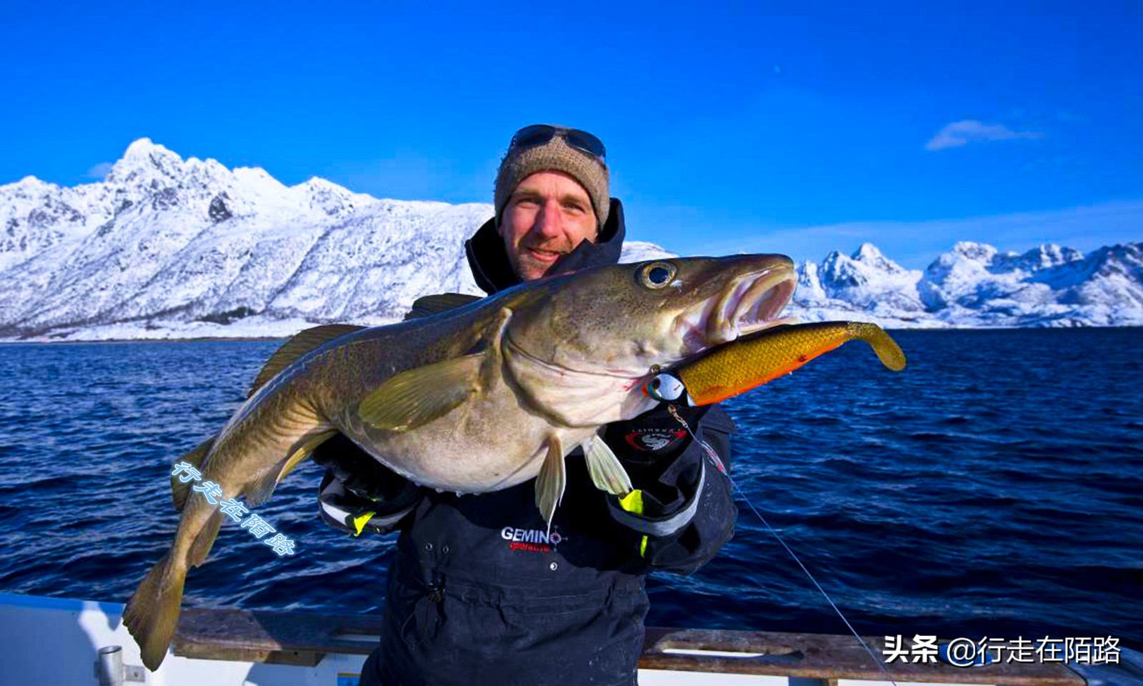 砸锅卖铁供你读书这句话对吗,砸锅卖铁也要供你上学的励志语录