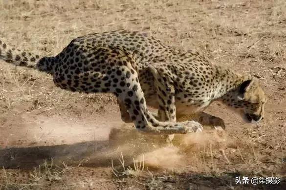 聚焦区域和自动对焦模式的选择,6d对焦模式和对焦区域