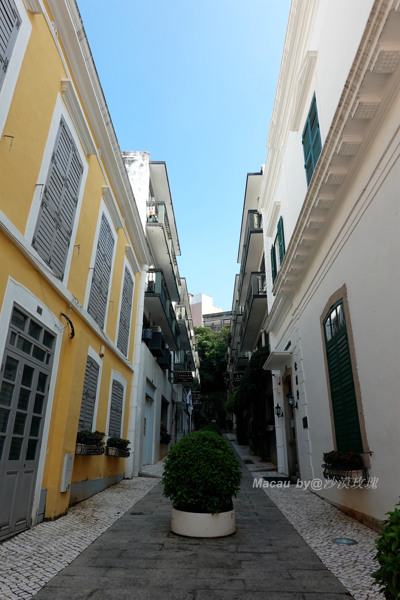 澳门第一所西式医院,澳门慈善基金会在哪里