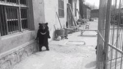 15岁怀孕的她，被骗吃下*药炸**，无辜去世：生而为人，有些人却不配