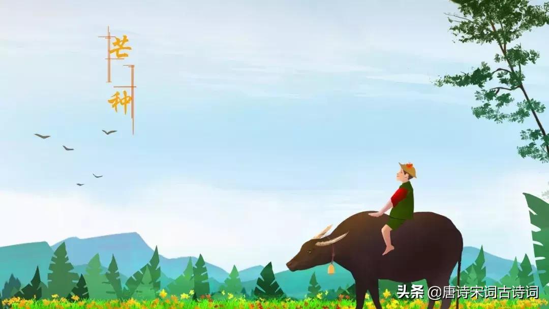 芒种诗词大全300首,最美芒种诗十首