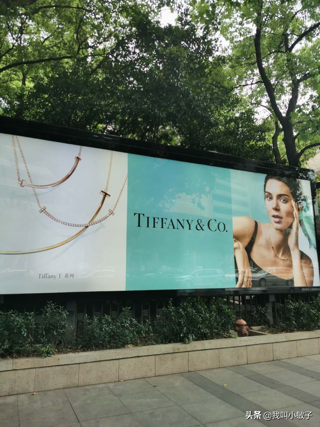 tiffany宝格丽和卡地亚项链哪个好,宝格丽蒂芙尼首饰