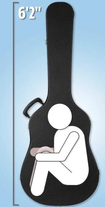 保释犯被黎巴嫩雇佣兵救走：日产前CEO藏身大提琴箱逃出境，日本司法机关看新闻才知道