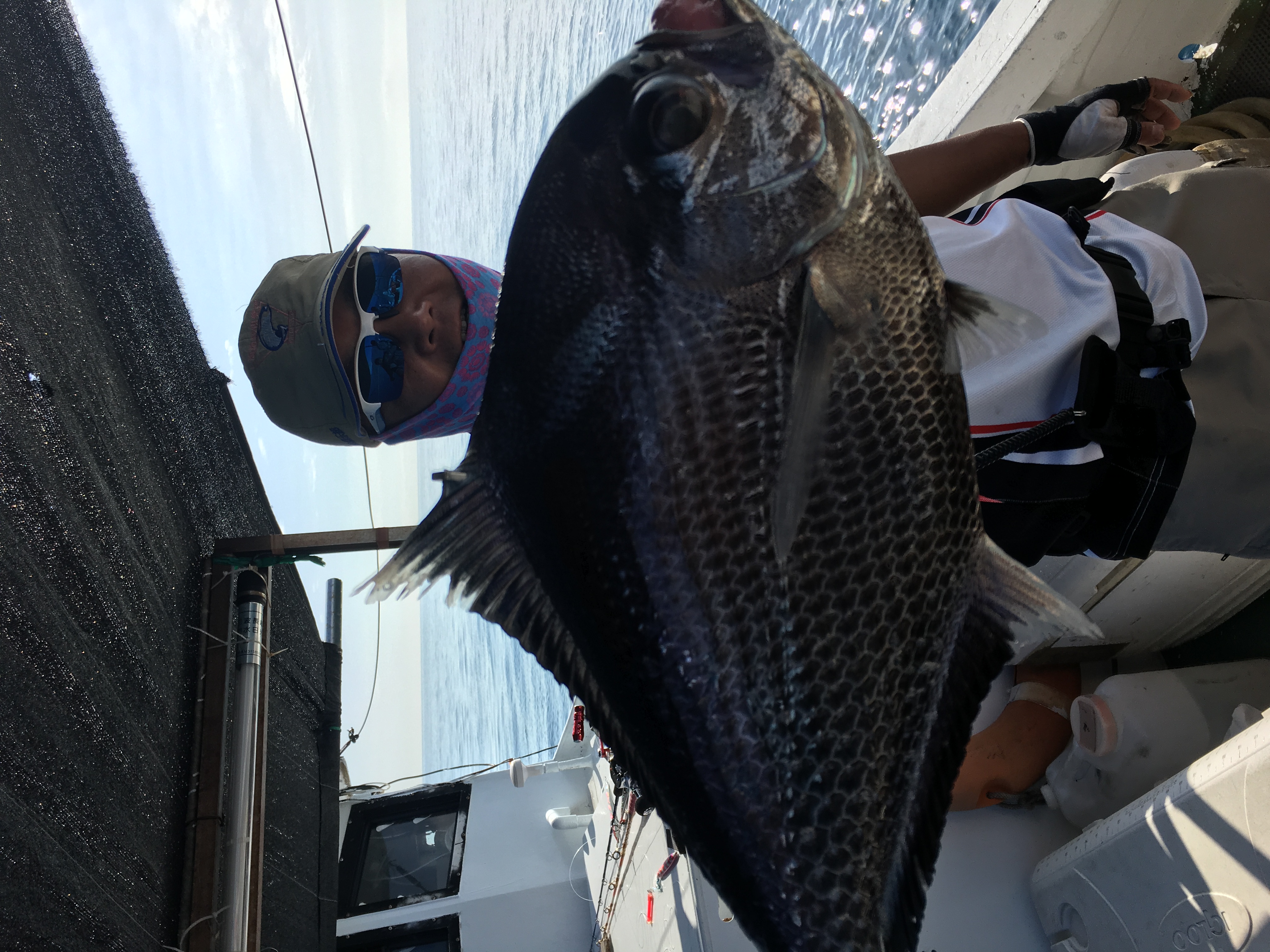 海钓是一种乐趣,体验不一样的海钓乐趣