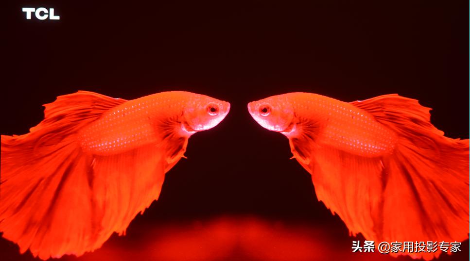 优派px727hd多少钱,优派px7274k值得买吗