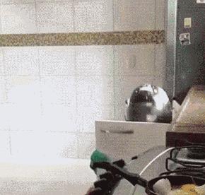 千万别在闲鱼上搜索“美食”，看到结局我笑了