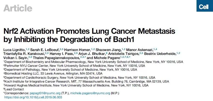 维生素e能促进肺癌发生吗,抗氧化和肿瘤