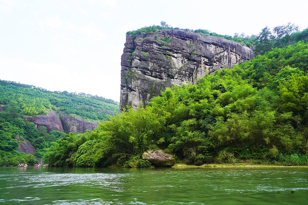 武夷山千禧大酒店金凤凰,武夷山千禧酒店温泉
