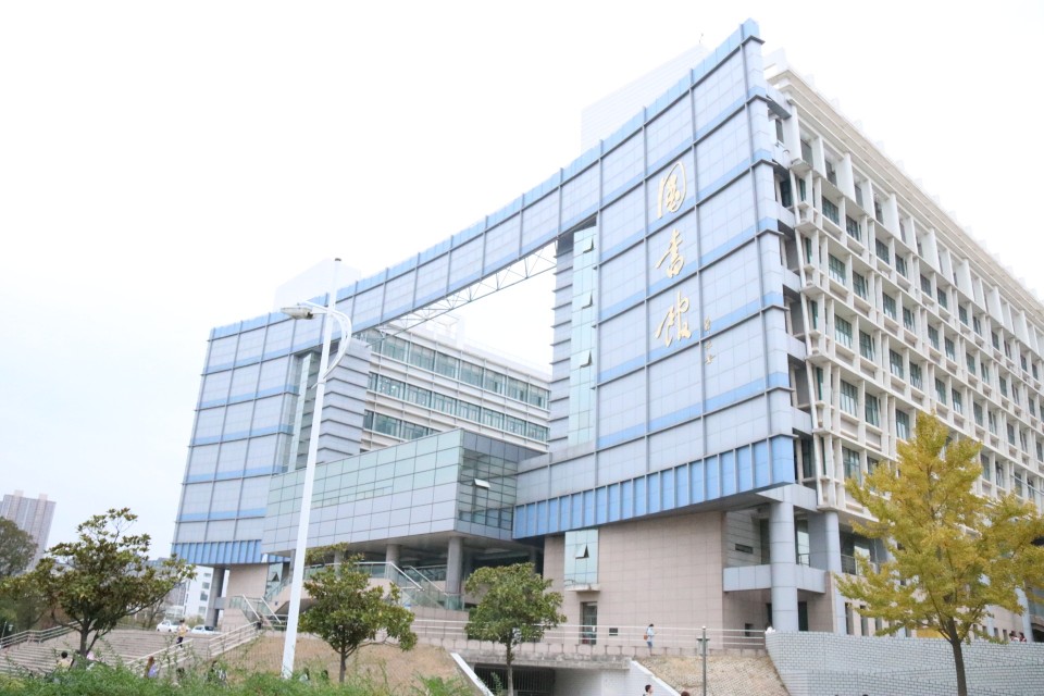 沐春简历,沐春大学