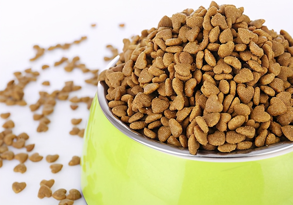 家里的狗狗没办法养了怎么办,家有宠物不想养了怎么办