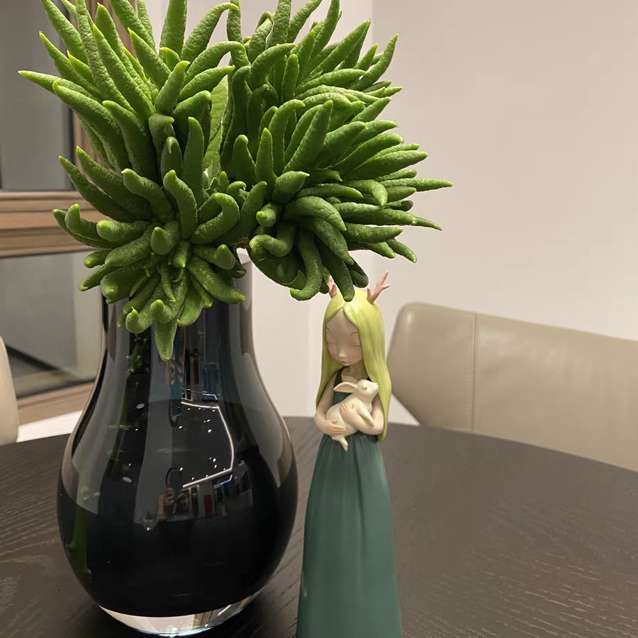 小时候怎么没听说过佛手瓜,佛手瓜和佛手不是一种东西吧