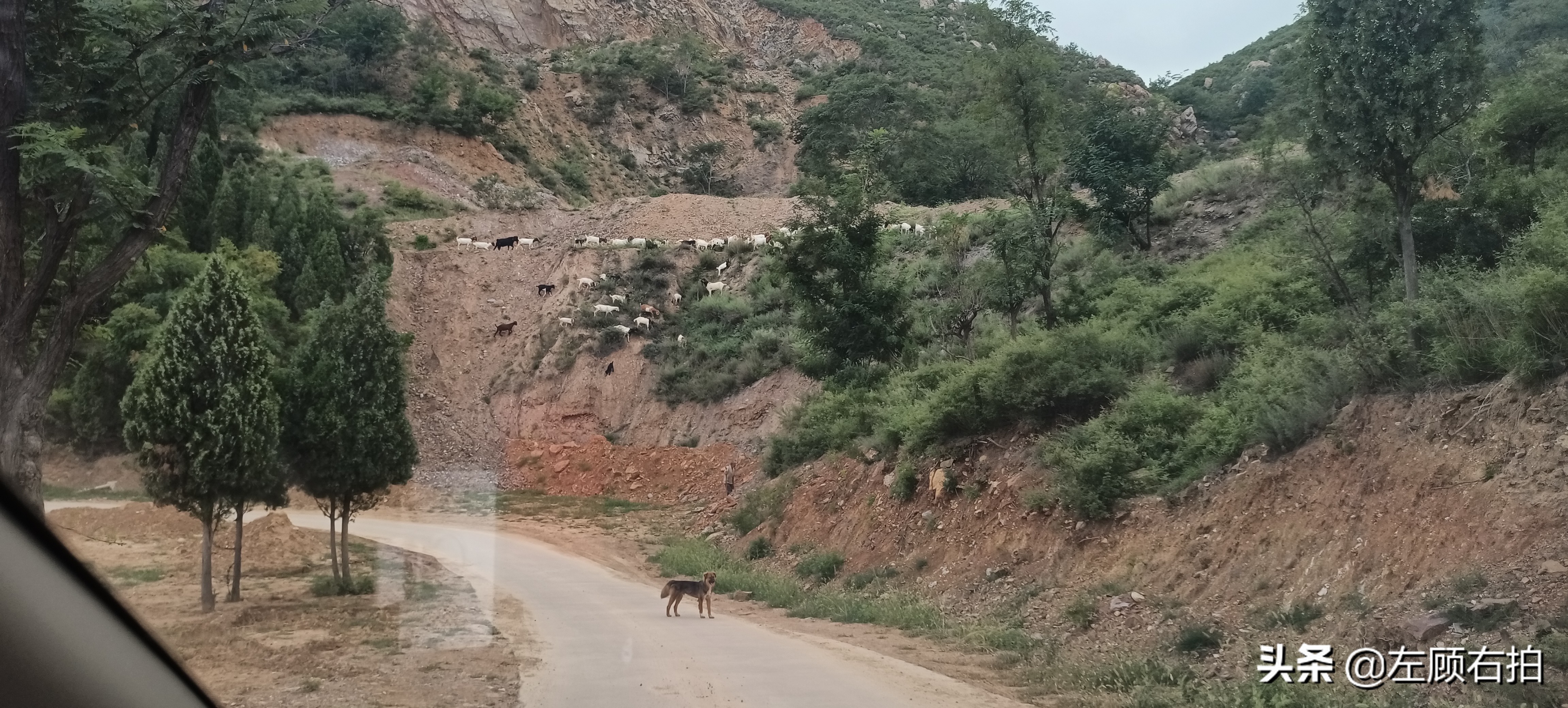 嵩山九龙潭小环线攻略,登封嵩山大峡谷自驾游攻略