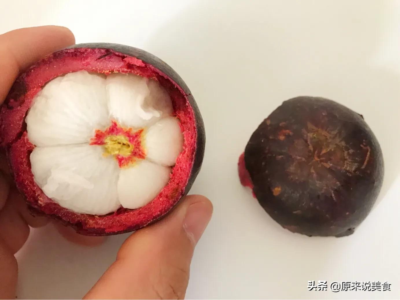 山竹怎么挑选公母不白吃,海南野生山竹树怎么分公母