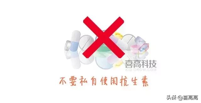 雾化药含激素，是“止咳神器”还是“长高杀手”？