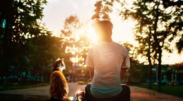 心理学家不懂得人情世故,真正内向的人的心理学