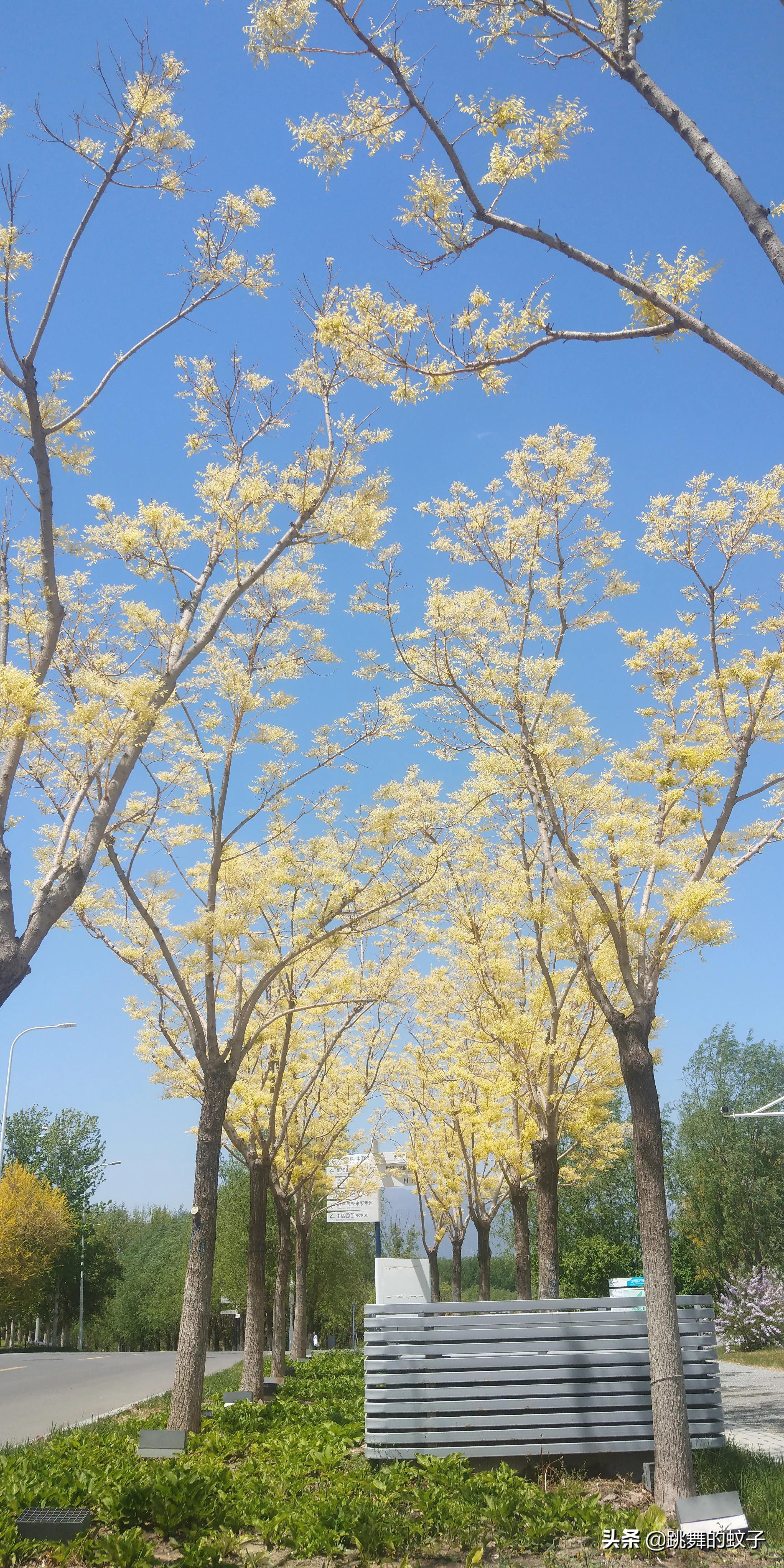 京郊公园,京郊公园门票