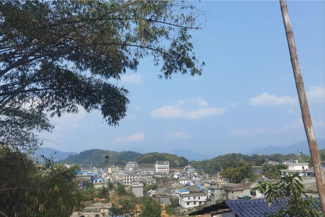 如何喝懂一款茶,怎么喝懂六堡茶