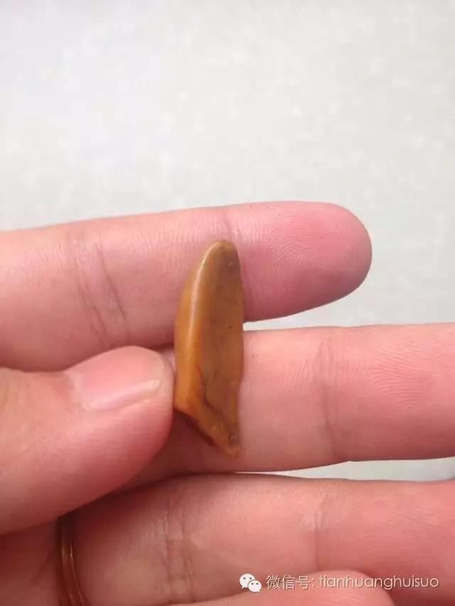 福州哪里有鉴定寿山田黄原石,寿山极品红田黄照片