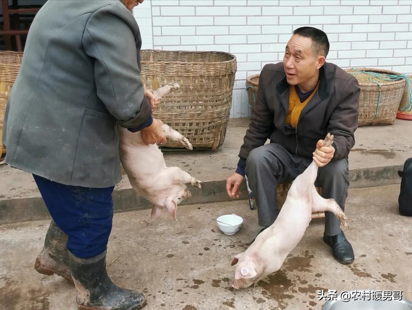 带大家一起走进乡村生活,农村生活带你体验