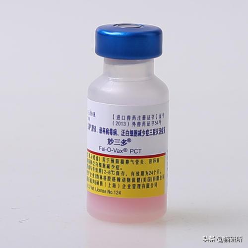 打完疫苗可以带狗狗出去吗,打完疫苗可以回老家吗