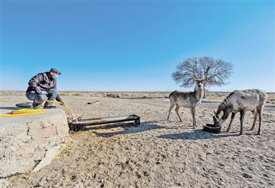 生物生态安全防范和保护,生态灭杀安全性