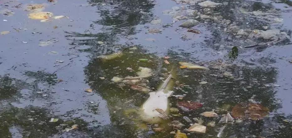 缅甸多地创下高温纪录,极端最高温度40度