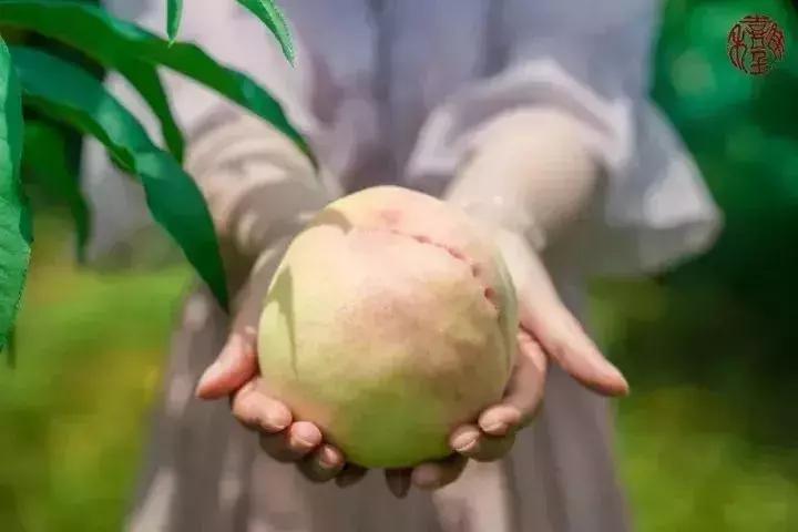 苏州通安的特色,苏州通安有什么美食