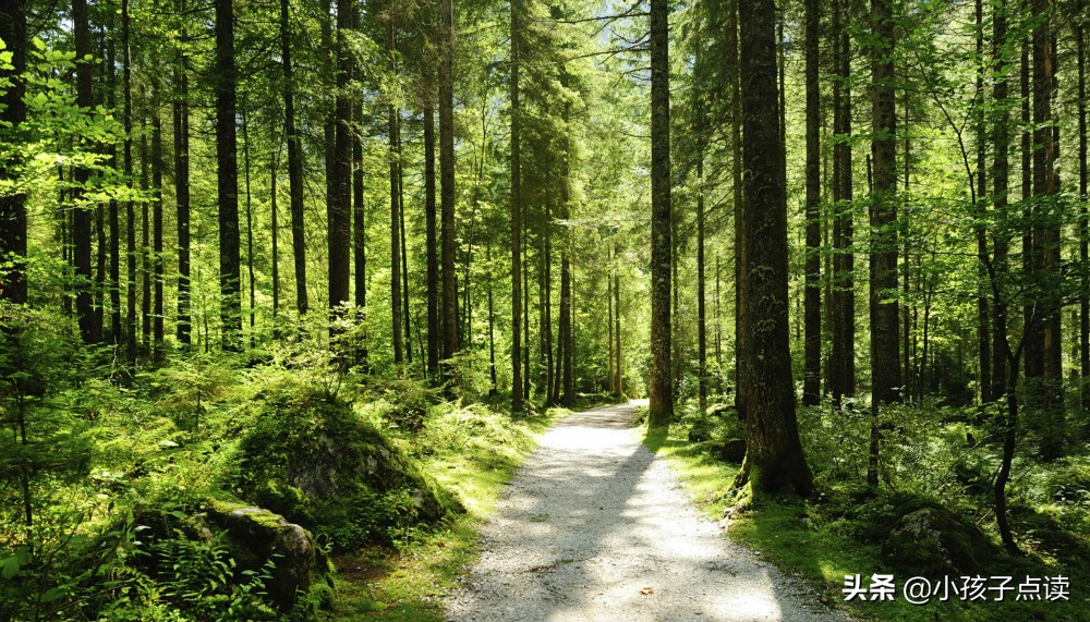 描写春节的古诗50首,描写春节的古诗词大全100首