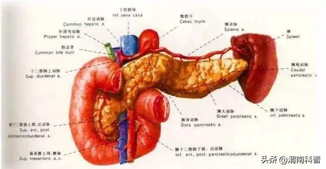 科技之春健康科普,科技之春科普文章