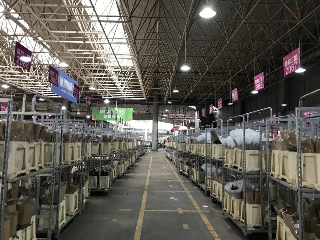 花店鲜花价格表大全,花店鲜花种类及价格表