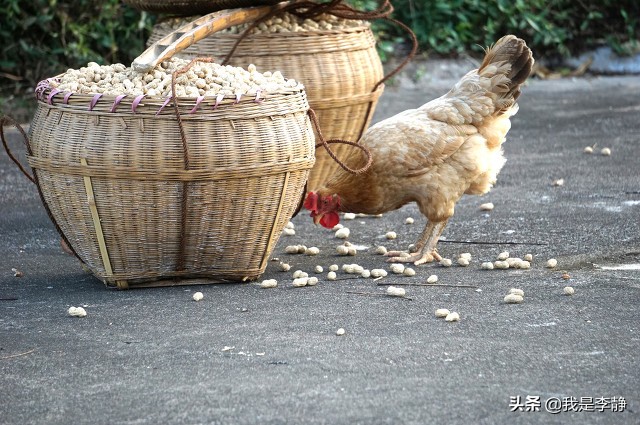 大脑疲劳是什么样子的,怎么知道自己疲劳了