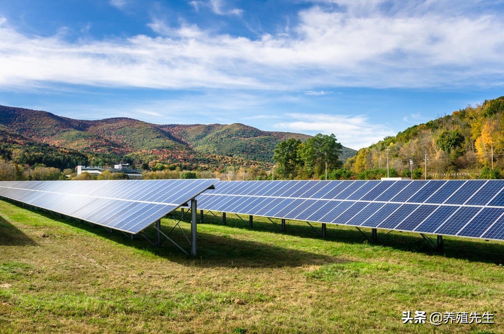 未来十年里农村养殖什么最赚钱了,未来农村养殖什么最赚钱
