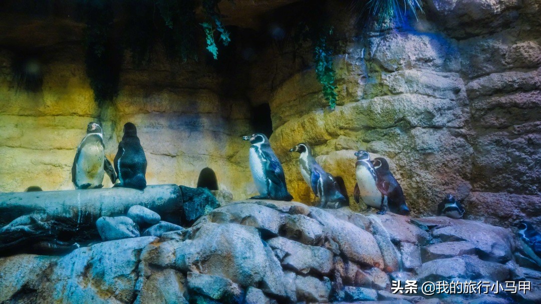 迪拜旅游攻略必去的地方,迪拜游玩全攻略