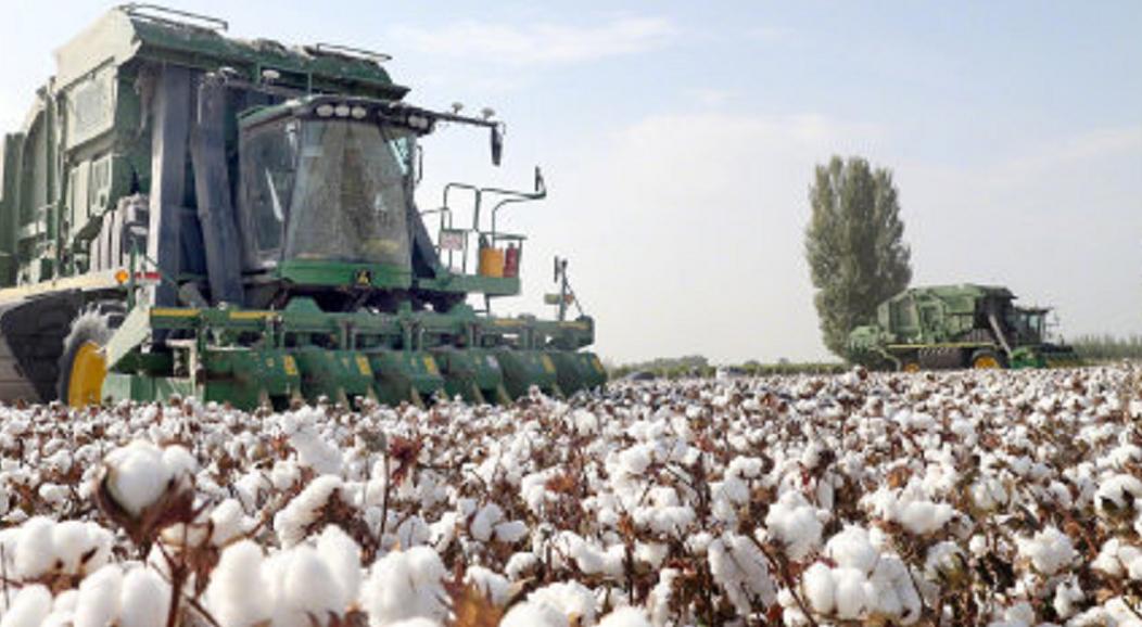 新疆一商场关闭hm门店后续,新疆一商场关闭hm门店