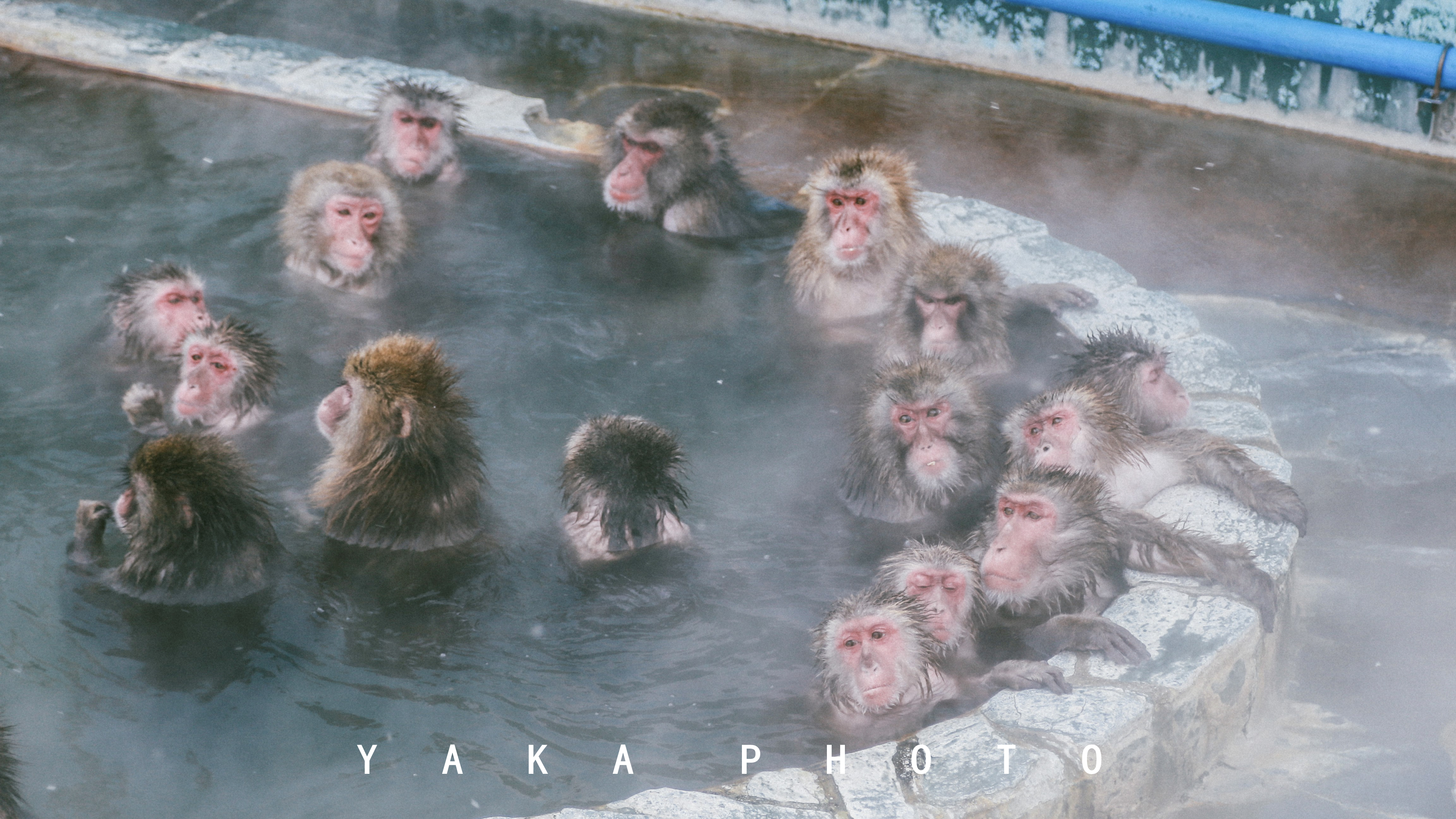 北海道函馆攻略一日游,12月北海道函馆有什么推荐