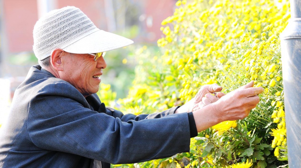 开封通许39届菊花文化节开幕式,2022年开封菊花文化节开幕式