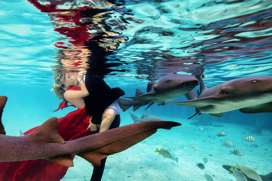 国外夫妻浪漫的爱情婚纱照,带你看看异国的风景