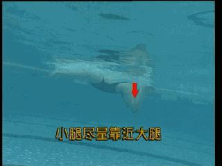 蛙泳腿部翻脚错误纠正,蛙泳在水中腿部翻脚忘记了怎么办