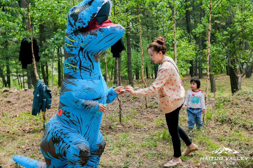 回望2020海坨耕耘路,以待2021山谷新美好