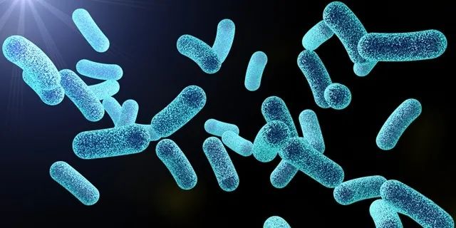 合生元出了什么问题,合生元为什么显示网页有问题