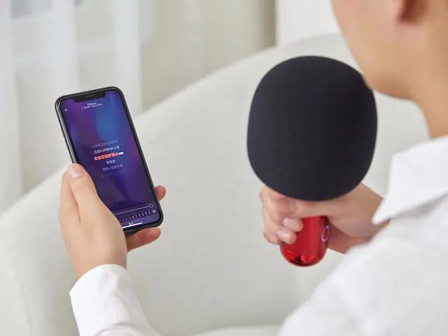 唱吧麦克风向往的生活,向往的生活同款唱吧麦克风