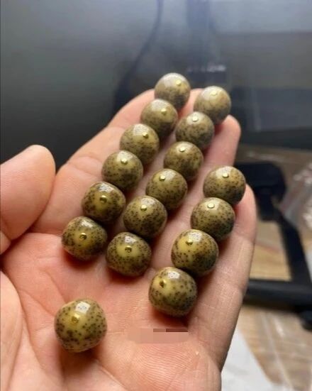 星月菩提手串盘了10年价值,星月菩提手串为什么价格差距大