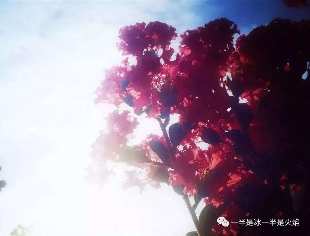 秋天的散文诗,散文诗秋天