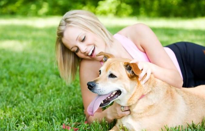 狗狗太胆小怎么办晚上叫不停,怎么纠正狗狗的胆小习惯