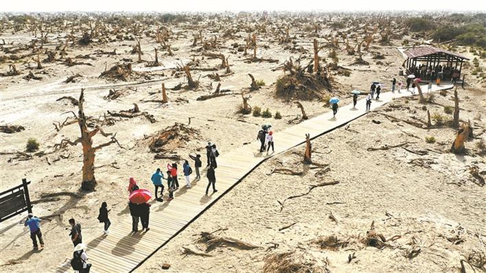 兵团：文旅融合，绘就更美的“诗和远方”